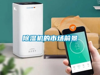 企業(yè)新聞除濕機(jī)的市場(chǎng)前景