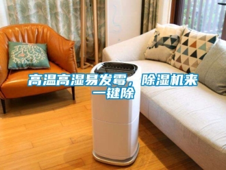 行業(yè)新聞高溫高濕易發(fā)霉，除濕機(jī)來(lái)一鍵除