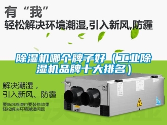 常見問題除濕機(jī)哪個(gè)牌子好（工業(yè)除濕機(jī)品牌十大排名）