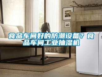 企業新聞食品車間好的防潮設備？食品車間工業抽濕機