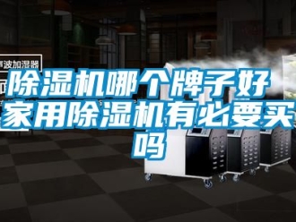 常見問題除濕機(jī)哪個(gè)牌子好 家用除濕機(jī)有必要買嗎