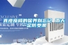 真皮座椅的保養別忘記 雨天一定防受潮