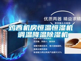 知識百科雞西機房恒溫恒濕機 調(diào)溫降溫除濕機