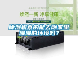 行業(yè)新聞除濕機真的能去除家里濕濕的環(huán)境嗎？