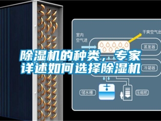 企業新聞除濕機的種類，專家詳述如何選擇除濕機