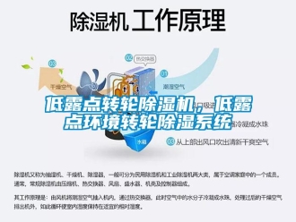 企業(yè)新聞低露點(diǎn)轉(zhuǎn)輪除濕機(jī)，低露點(diǎn)環(huán)境轉(zhuǎn)輪除濕系統(tǒng)