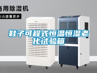 知識(shí)百科鞋子可程式恒溫恒濕老化試驗(yàn)箱