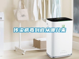 企業新聞傳染病毒到底從哪兒來
