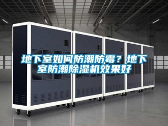 常見(jiàn)問(wèn)題地下室如何防潮防霉？地下室防潮除濕機(jī)效果好