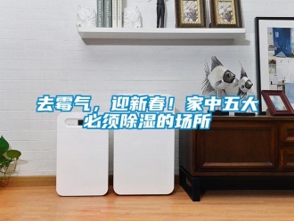 行業(yè)新聞去霉氣，迎新春！家中五大必須除濕的場(chǎng)所