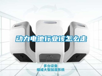 常見問(wèn)題動(dòng)力電池行業(yè)該怎么走