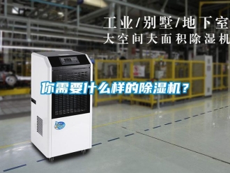 行業新聞你需要什么樣的除濕機？
