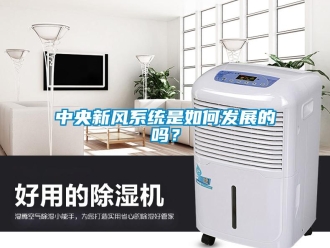 常見問題中央新風系統是如何發展的嗎？