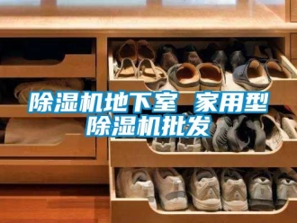 常見問題除濕機地下室 家用型除濕機批發(fā)