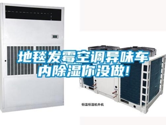 企業(yè)新聞地毯發(fā)霉空調(diào)異味車內(nèi)除濕你沒做!