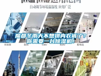 行業(yè)新聞魔都冬雨天不想拼內(nèi)衣褲了？你需要一臺(tái)除濕機(jī)！