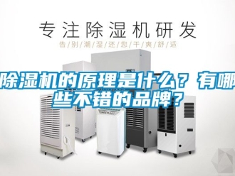 企業(yè)新聞除濕機(jī)的原理是什么？有哪些不錯的品牌？