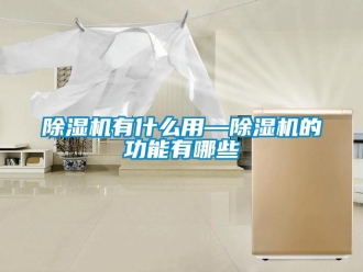 行業新聞除濕機有什么用—除濕機的功能有哪些
