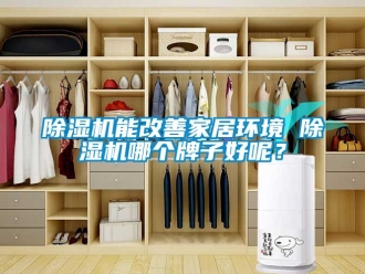 行業新聞除濕機能改善家居環境 除濕機哪個牌子好呢？