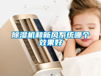 常見問題除濕機(jī)和新風(fēng)系統(tǒng)哪個(gè)效果好