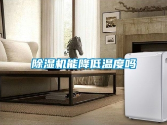 行業新聞除濕機能降低溫度嗎