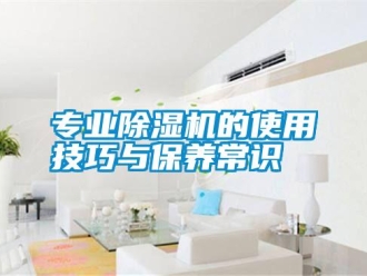 知識百科專業除濕機的使用技巧與保養常識