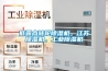 低露點轉輪除濕機，江蘇除濕機，工業(yè)除濕機