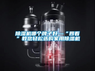 常見問題除濕機(jī)哪個(gè)牌子好—“四看”教您輕松選購家用除濕機(jī)
