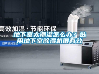 常見(jiàn)問(wèn)題地下室太潮濕怎么辦？選用地下室除濕機(jī)很有效