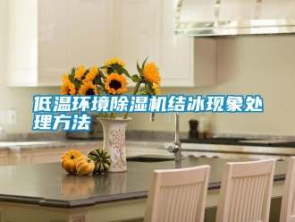 企業(yè)新聞低溫環(huán)境除濕機(jī)結(jié)冰現(xiàn)象處理方法