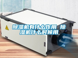 行業新聞除濕機有什么作用 除濕機什么時候用