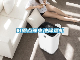 企業(yè)新聞低露點(diǎn)鋰電池除濕機(jī)