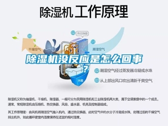行業(yè)新聞除濕機沒反應(yīng)是怎么回事？