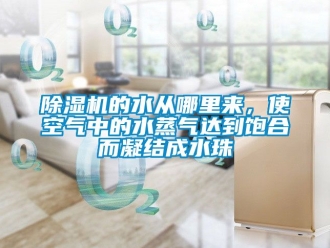 企業(yè)新聞除濕機的水從哪里來，使空氣中的水蒸氣達到飽合而凝結成水珠