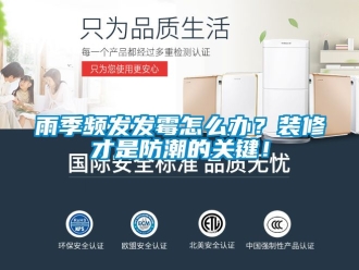 常見問題雨季頻發發霉怎么辦？裝修才是防潮的關鍵！