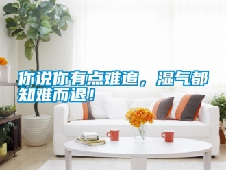 行業新聞你說你有點難追，濕氣都知難而退！