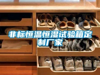 知識(shí)百科非標(biāo)恒溫恒濕試驗(yàn)箱定制廠家
