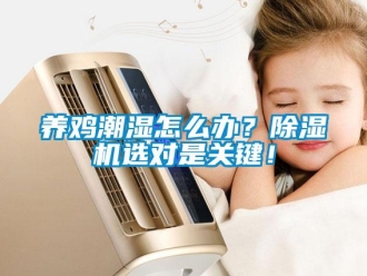 常見問題養雞潮濕怎么辦？除濕機選對是關鍵！