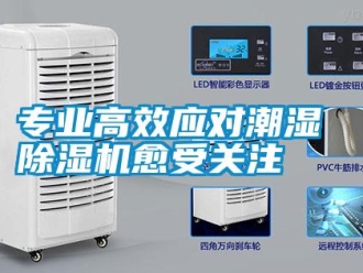知識百科專業高效應對潮濕 除濕機愈受關注