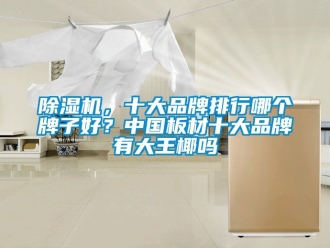 企業新聞除濕機，十大品牌排行哪個牌子好？中國板材十大品牌有大王椰嗎