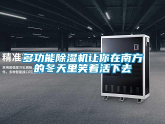 企業新聞多功能除濕機讓你在南方的冬天里笑著活下去