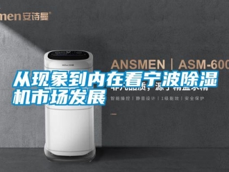 企業(yè)新聞從現(xiàn)象到內(nèi)在看寧波除濕機(jī)市場發(fā)展