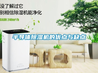 常見問題半導(dǎo)體除濕機(jī)的優(yōu)點(diǎn)與缺點(diǎn)