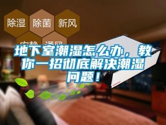 常見(jiàn)問(wèn)題地下室潮濕怎么辦，教你一招徹底解決潮濕問(wèn)題！