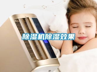 企業(yè)新聞除濕機(jī)除濕效果