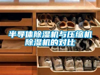 常見問題半導(dǎo)體除濕機(jī)與壓縮機(jī)除濕機(jī)的對(duì)比