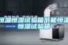 恒溫恒濕試驗箱節能恒溫恒濕試驗箱