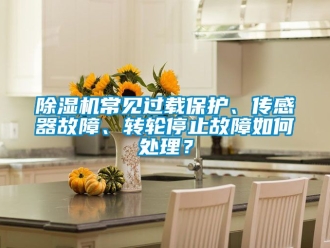 常見問題除濕機常見過載保護、傳感器故障、轉(zhuǎn)輪停止故障如何處理？