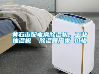 企業新聞黃石市配電房除濕機，工業抽濕機  除濕器廠家 價格