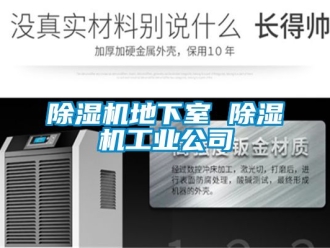 常見問題除濕機地下室 除濕機工業(yè)公司